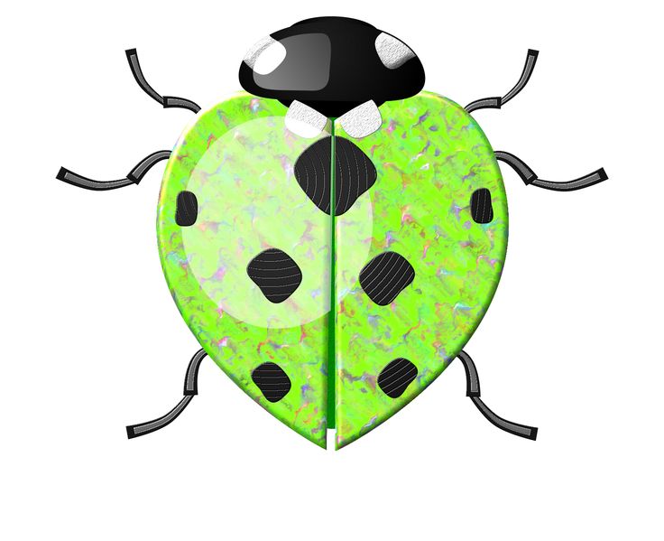beetle clipart colorful bug