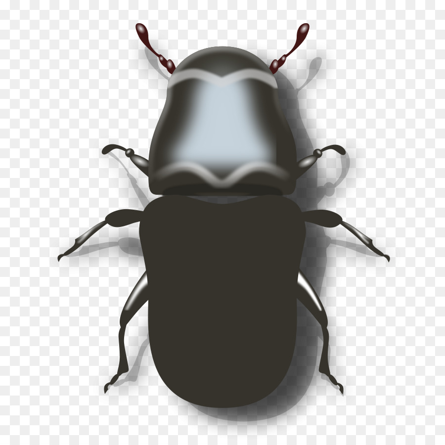 beetle clipart computer