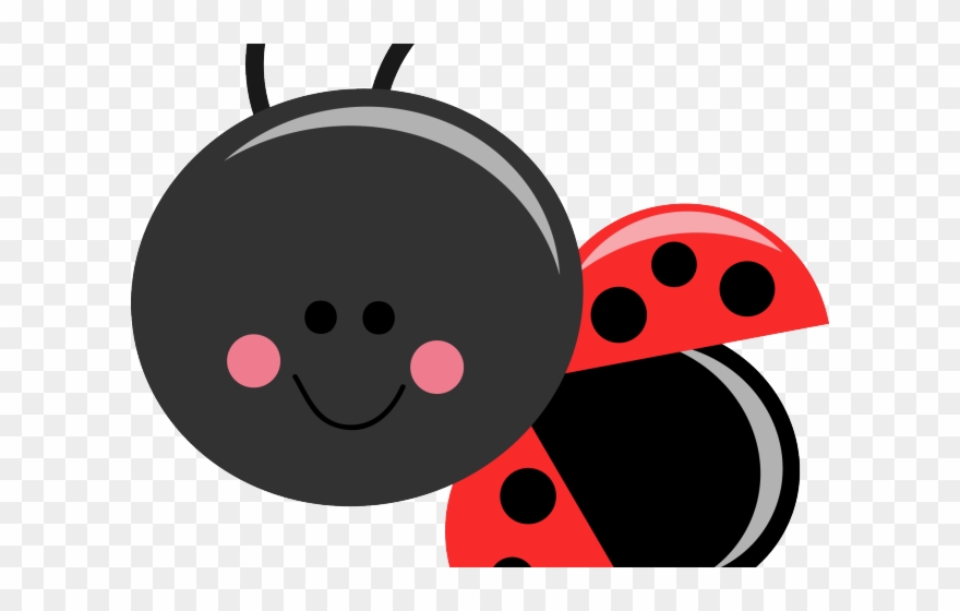 Insect clipart face. Lady beetle cute bug