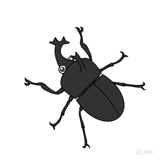 beetle clipart cute