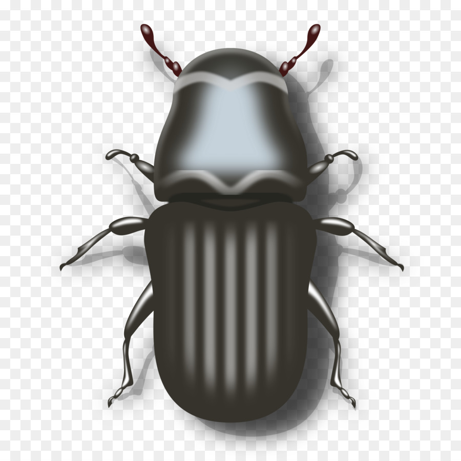 Computer icons ladybird clip. Beetle clipart darkling beetle