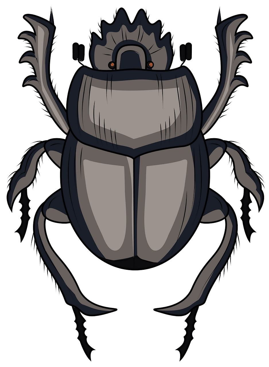 Beetle clipart dung beetle. Scarabaeus free download creazilla