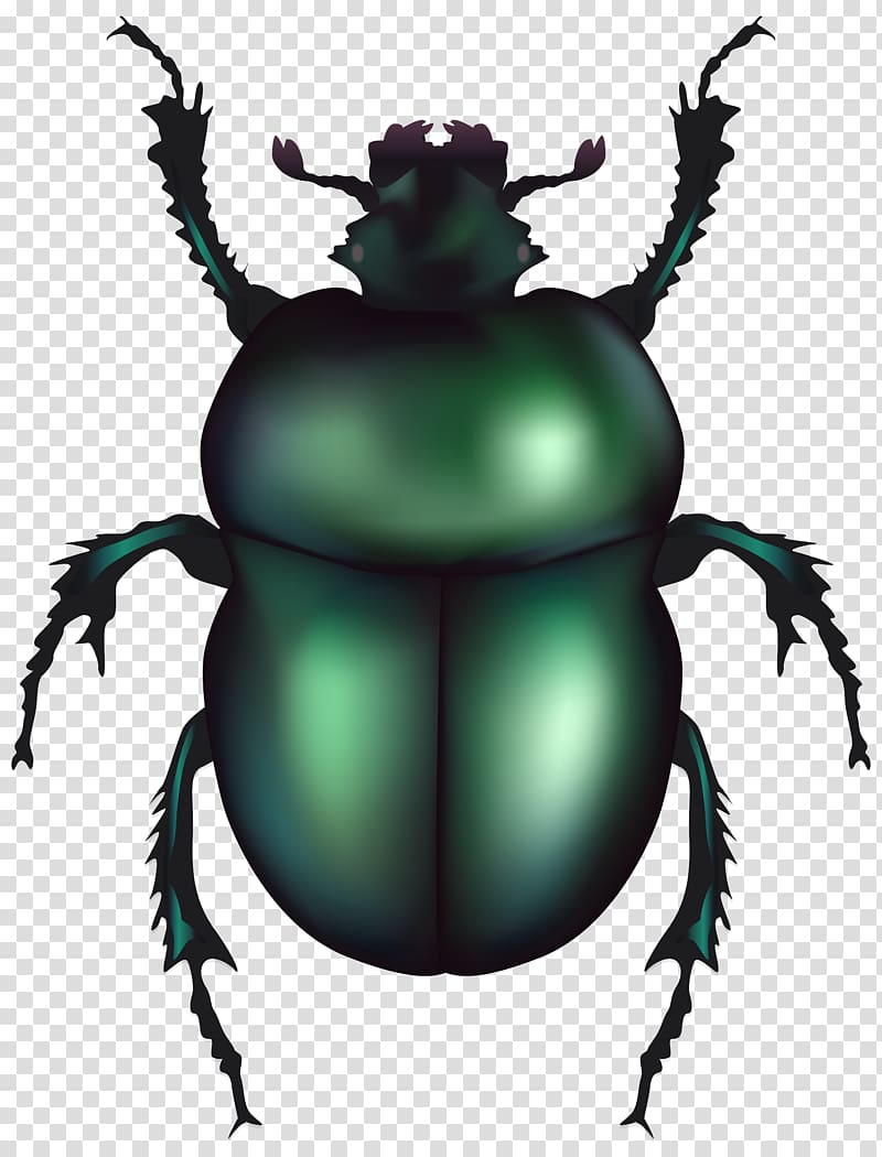 Beetle clipart dung beetle. Volkswagen insect transparent 