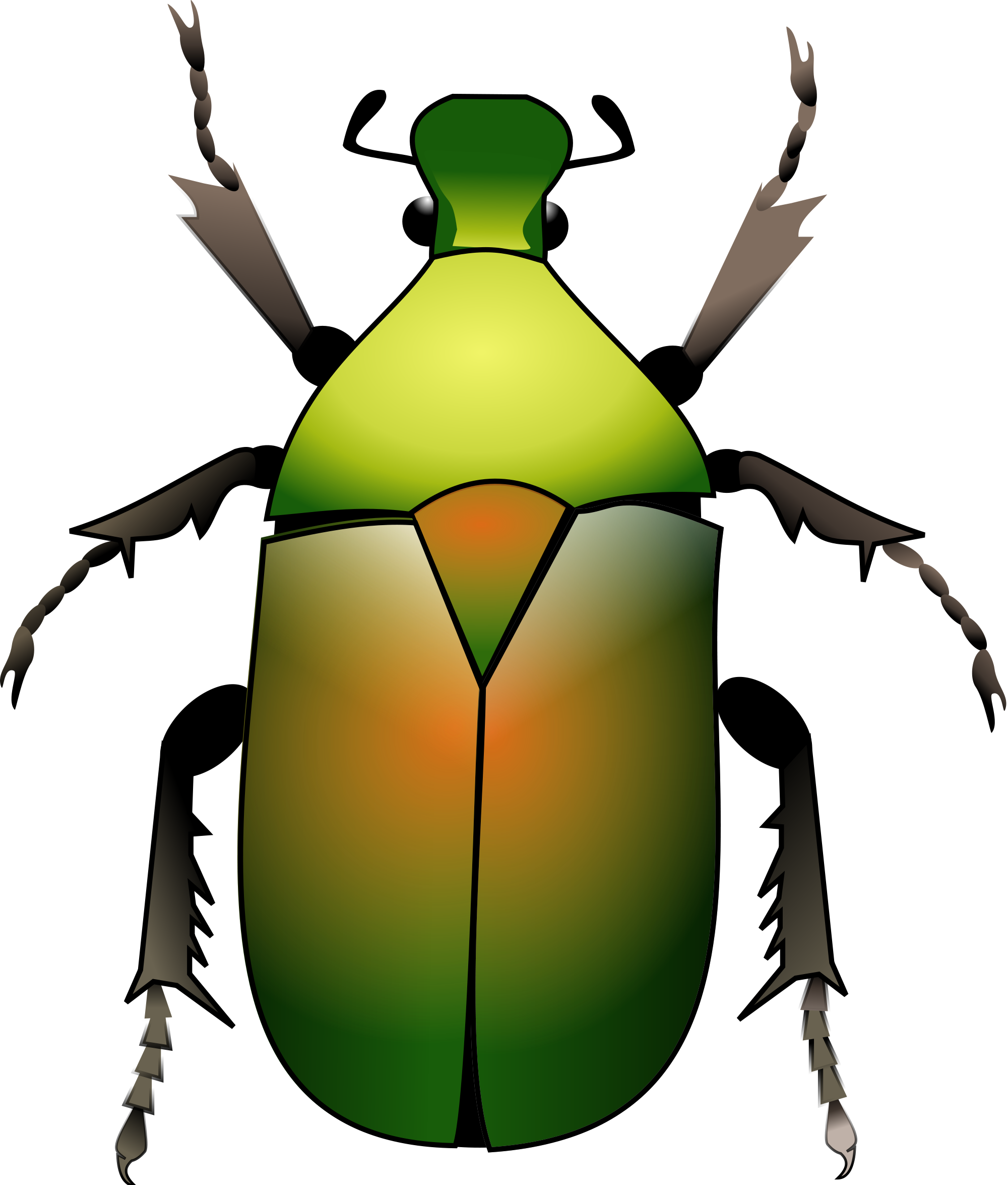 beetle clipart green beetle