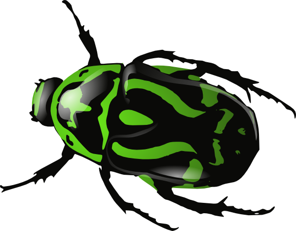 Green clip art at. Beetle clipart ground beetle