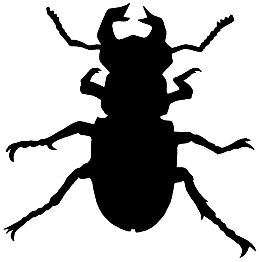 Beetle clipart ground beetle. Silhouette by zucco on