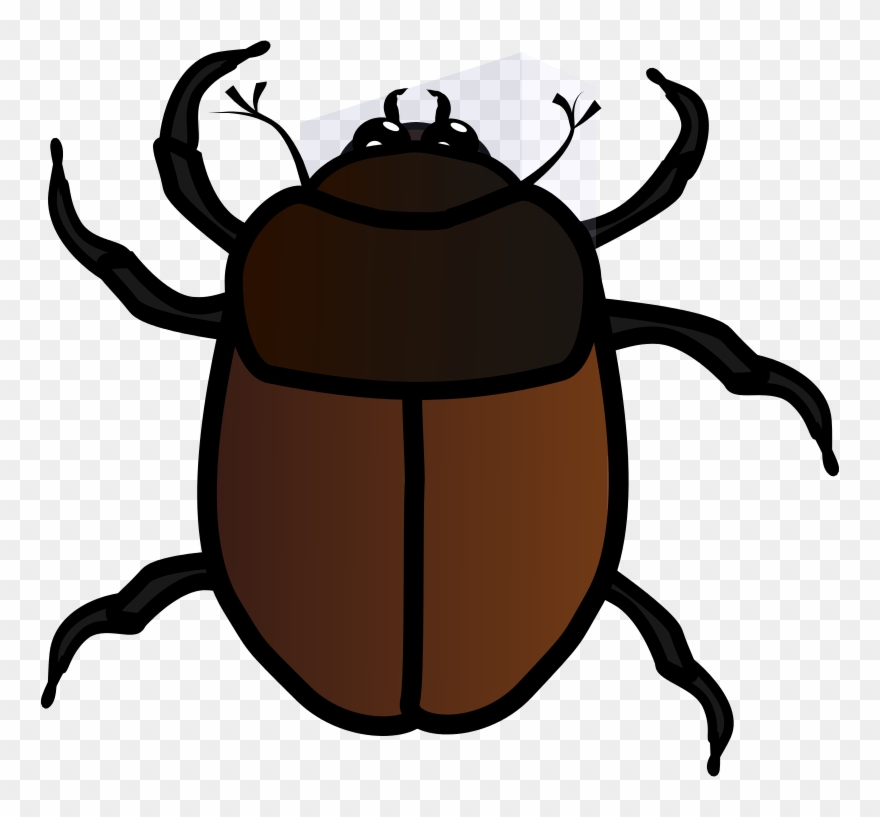 Beetle clipart insect. June bug png download