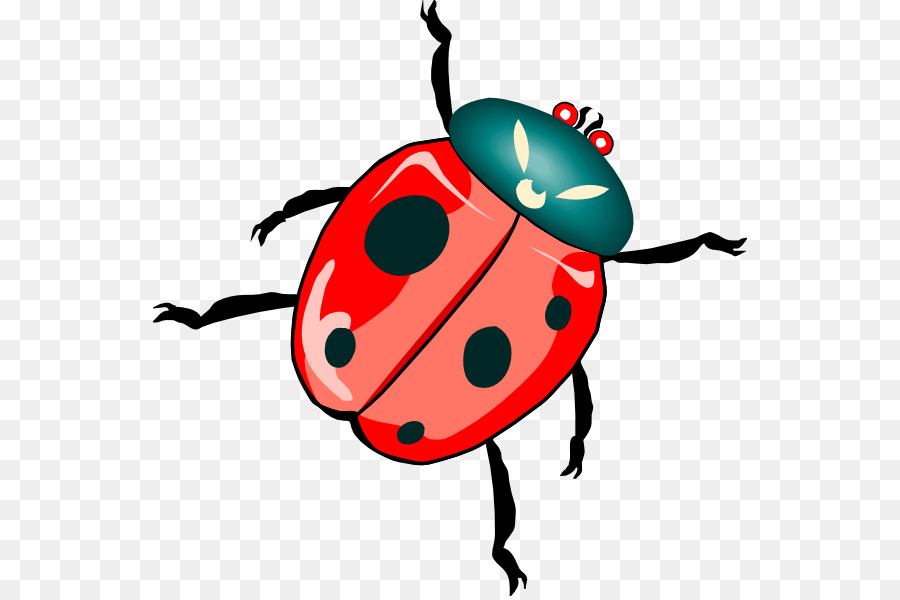 Beetle clipart insect. Ladybird free content clip