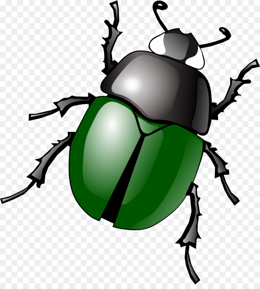 Beetle clipart insect. Volkswagen dung clip art