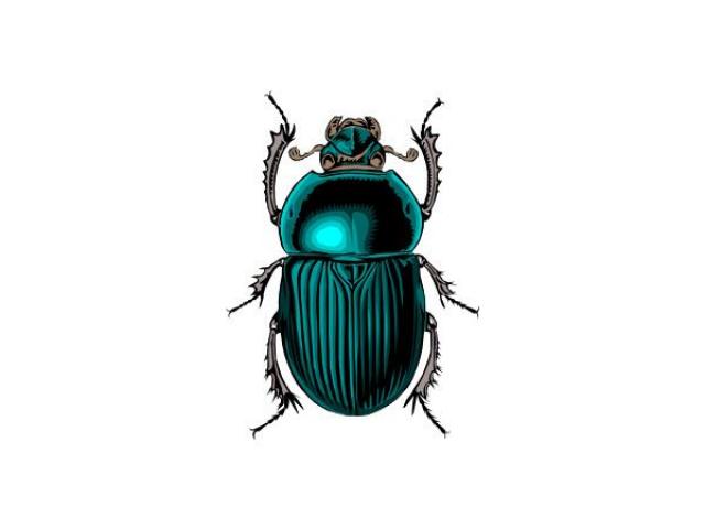 Beetle clipart japanese beetle. Dung free on dumielauxepices