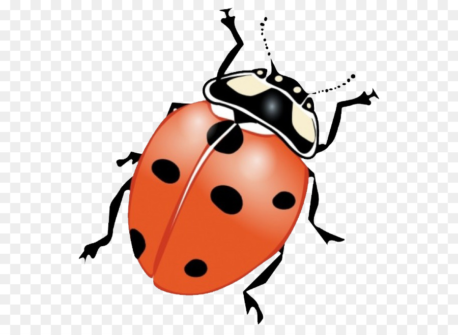 Beetle clipart little bug. Insect clip art ladybug