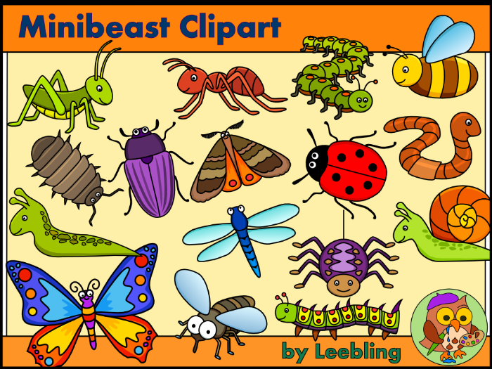 beetle clipart minibeast
