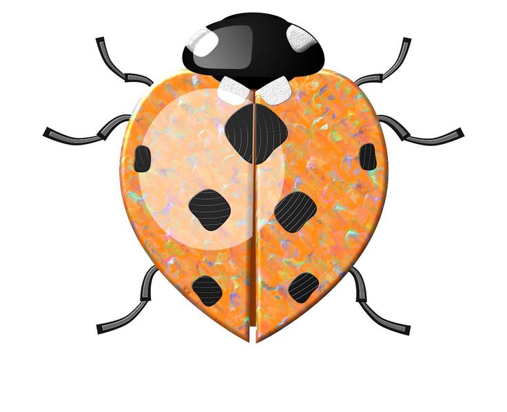 beetle clipart orange bug