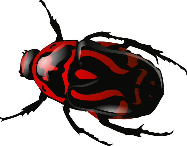 beetle clipart red beetle
