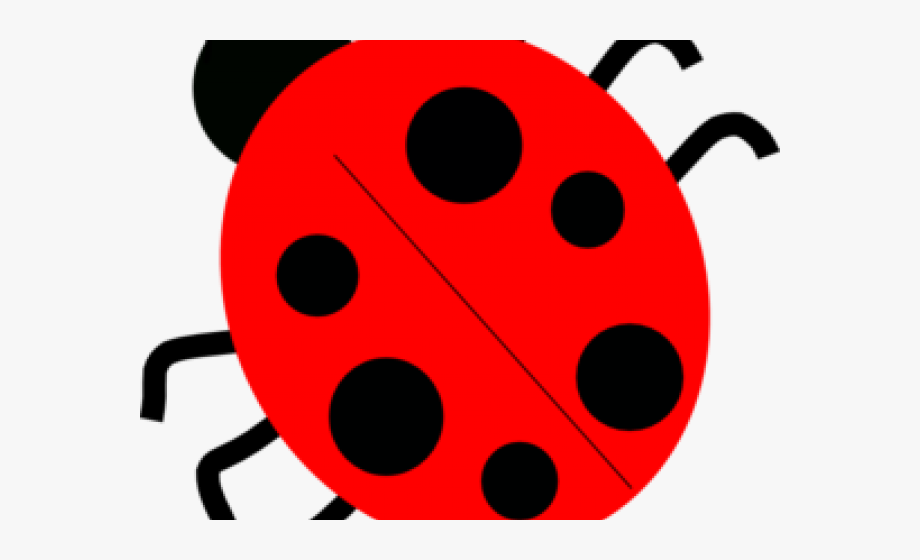 ladybugs clipart red ladybug