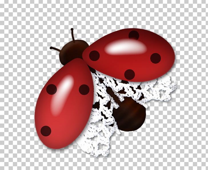 Coccinella png abstract art. Beetle clipart red beetle