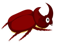 beetle clipart rhinoceros beetle