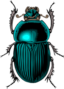 Beetle clipart scarab beetle. Clip art logo pinterest