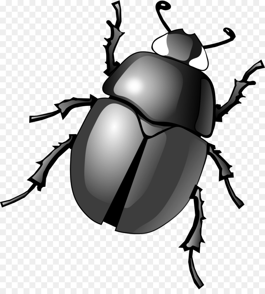 Beetle clipart scarab beetle. Dung clip art png