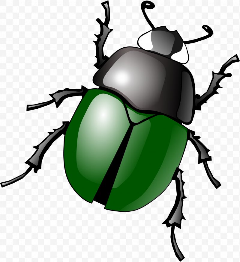 Beetle clipart scarab beetle. Clip art png x
