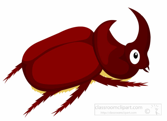 beetle clipart simple