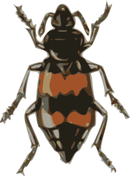 beetle clipart spotted