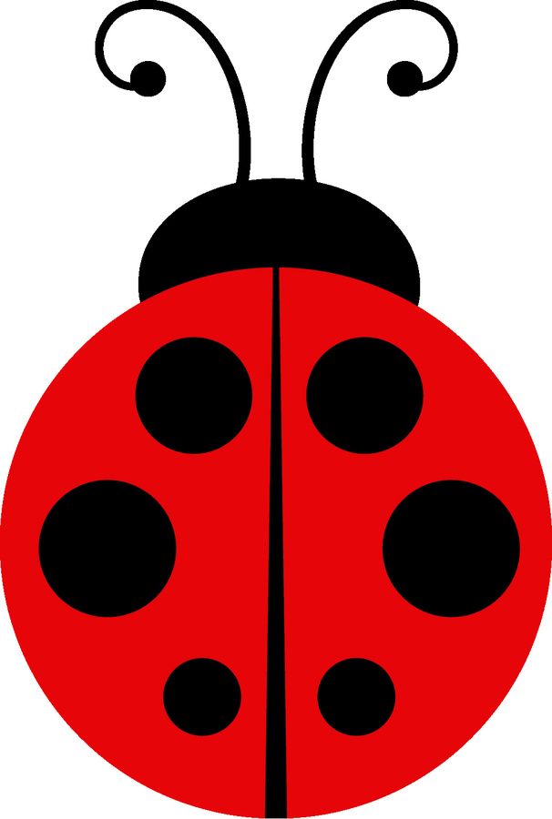 Beetle clipart spring.  best joaninha images