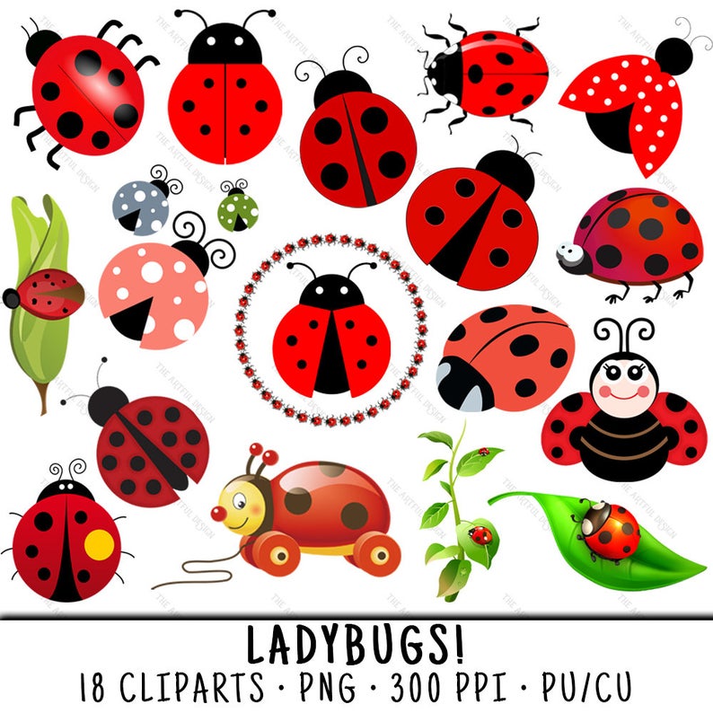 Ladybug clip art png. Beetle clipart spring