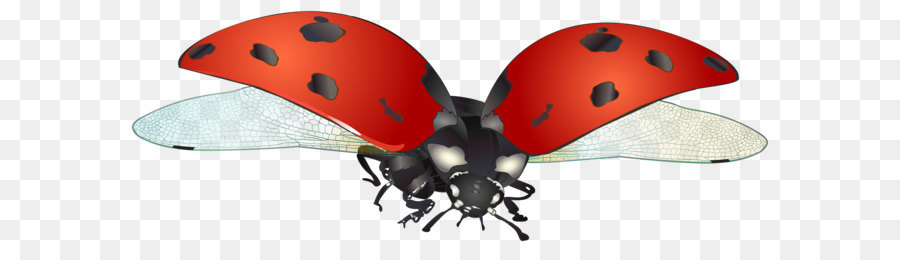 Beetle clipart spring. Ladybird clip art flying