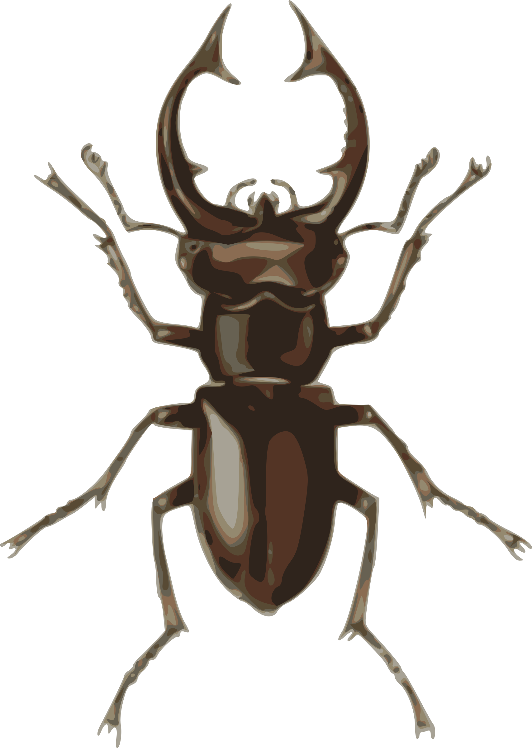 Lucanus elephas big image. Beetle clipart stag beetle