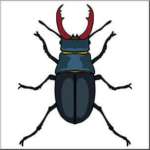 Beetle clipart stag beetle. Clip art insects color