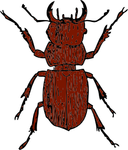 Clip art at clker. Beetle clipart stag beetle