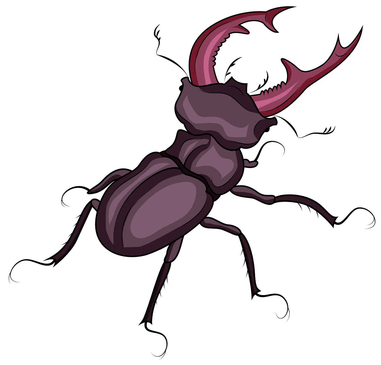 Beetle clipart stag beetle. Free download creazilla 