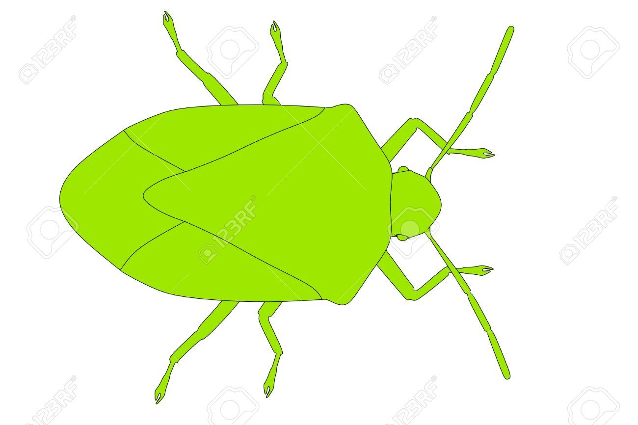 Beetle clipart stinkbug. Stock photo cartoon image