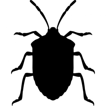 Stink bug vectors photos. Beetle clipart stinkbug