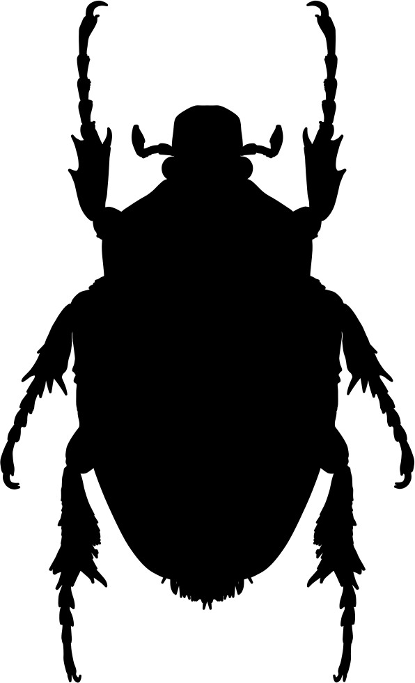 Beetle clipart stinkbug. Insect shape of stink