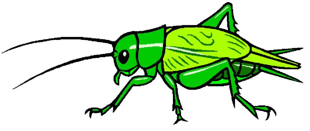 Beetle stylized