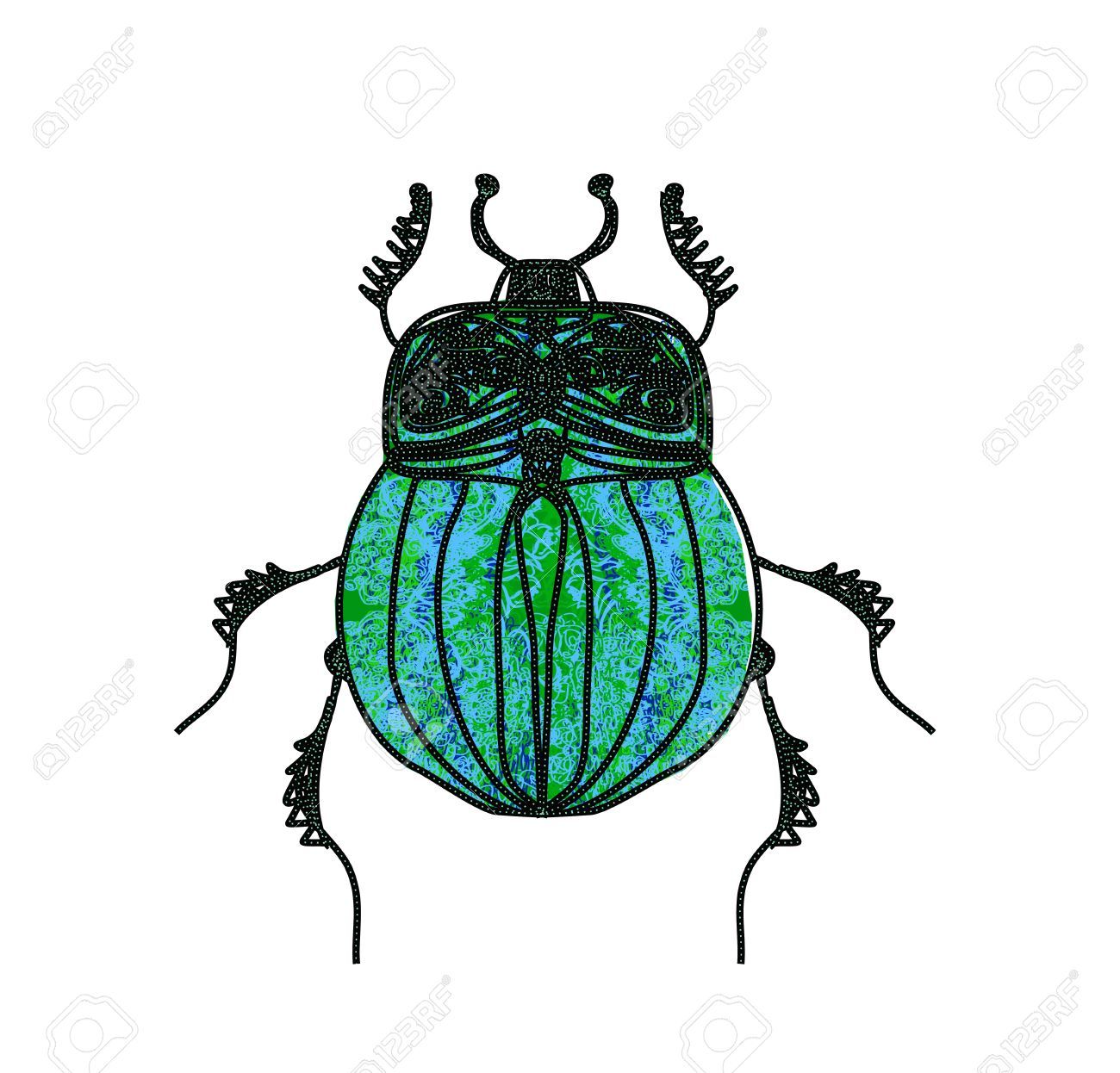 beetle clipart vector