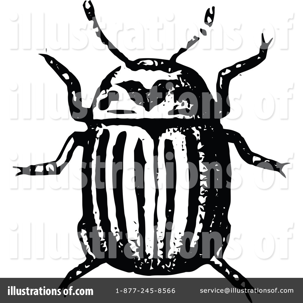 Beetle clipart vintage. Illustration by prawny royaltyfree