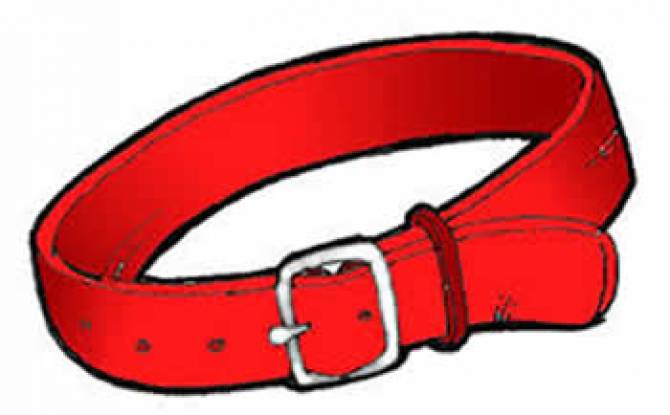 belt clipart dog collar