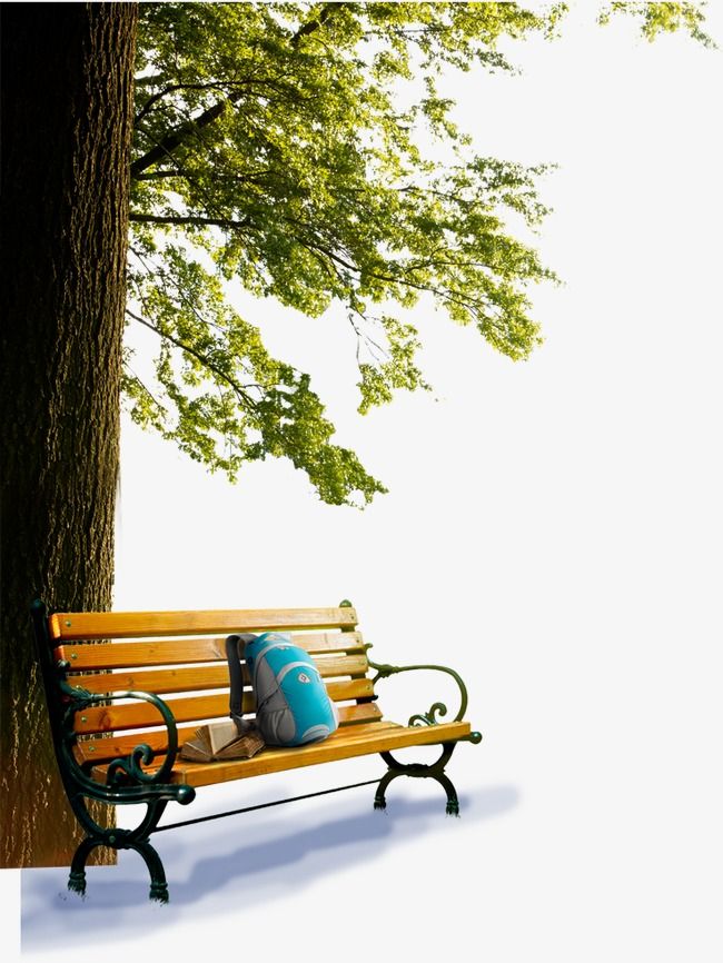 bench clipart park tree