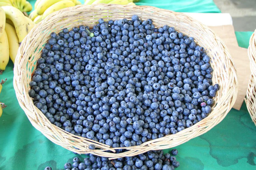 berries clipart acai berry