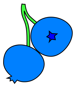 berries clipart animated