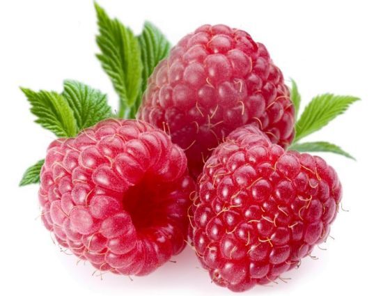 berries clipart antioxidant