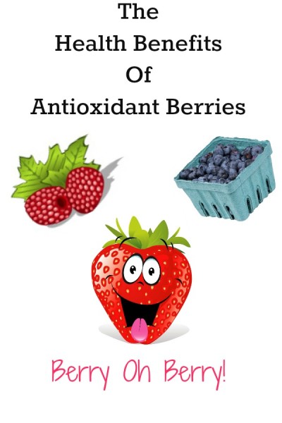 Berries antioxidant
