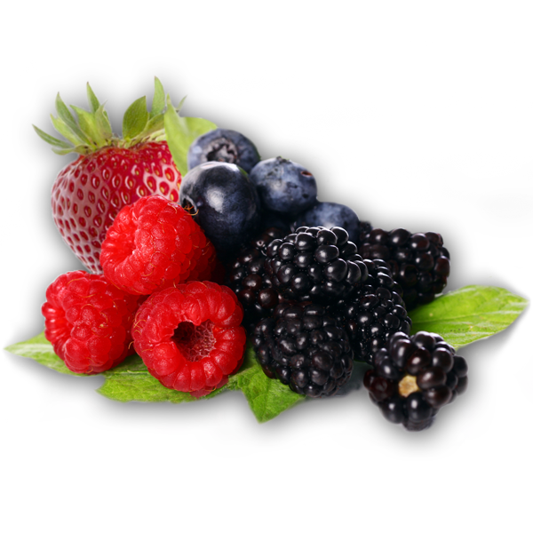 berries clipart berrie