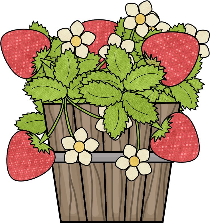 berry clipart berry basket