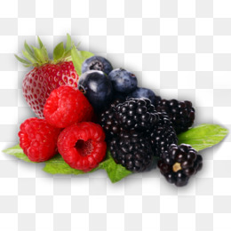 berries clipart berry basket