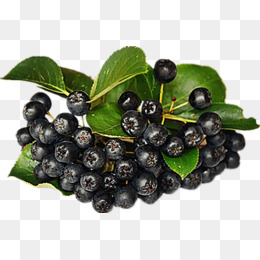 Berries clipart berry fruit. Png images vectors and