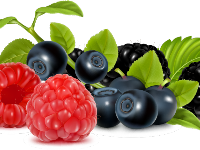 Berries clipart berry fruit. Hd wild free 